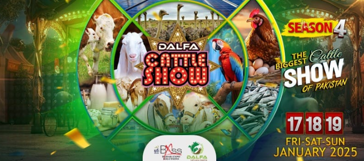 Dalfa Cattle Show 2025