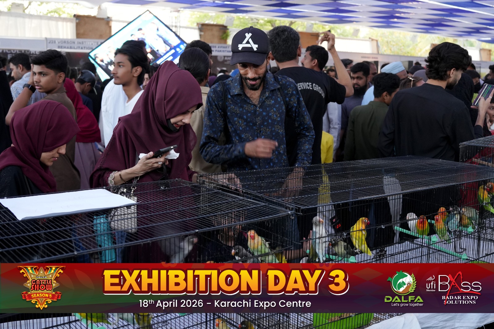 Dalfa Cattle Show 2026 Exhibition Photo