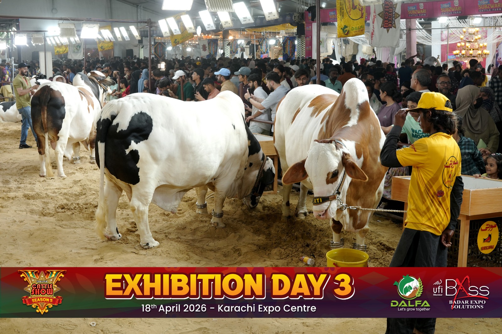 Dalfa Cattle Show 2026 Exhibition Photo