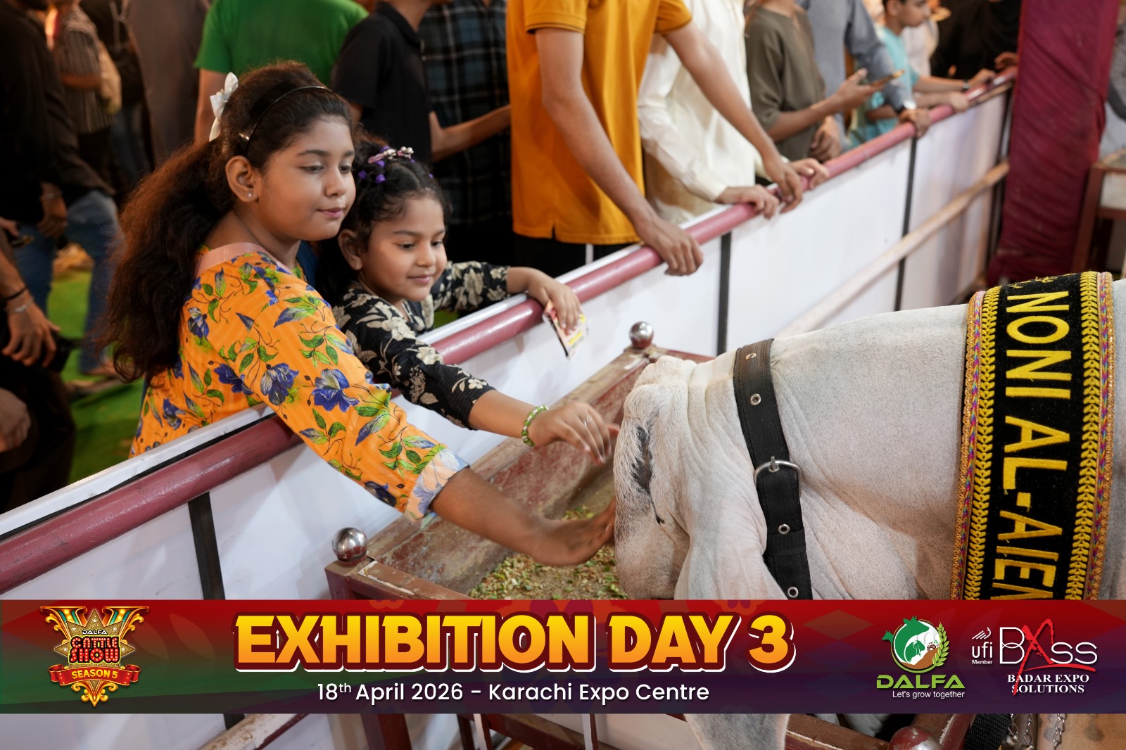 Dalfa Cattle Show 2026 Exhibition Photo